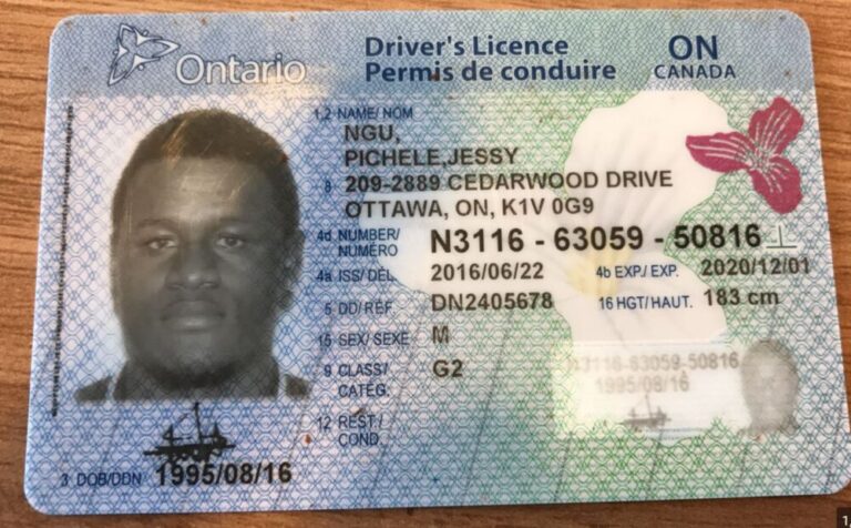 canadian driver's license requirements