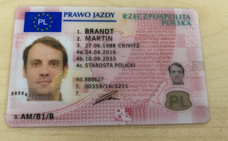 polish drivers license test